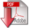 pdfIcon